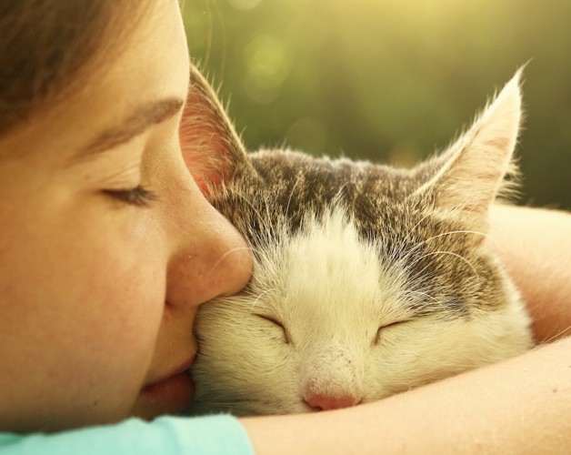 猫にキスをする少女