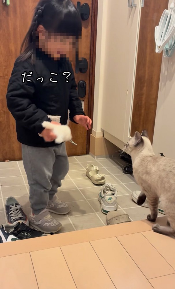 見つめ合う女の子と猫