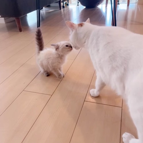 ご挨拶