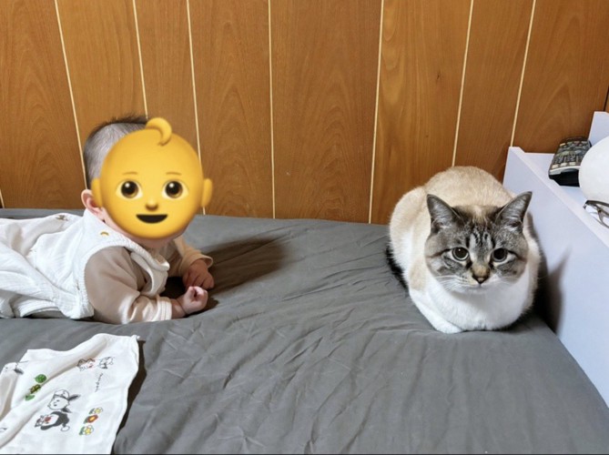 赤ちゃんと猫