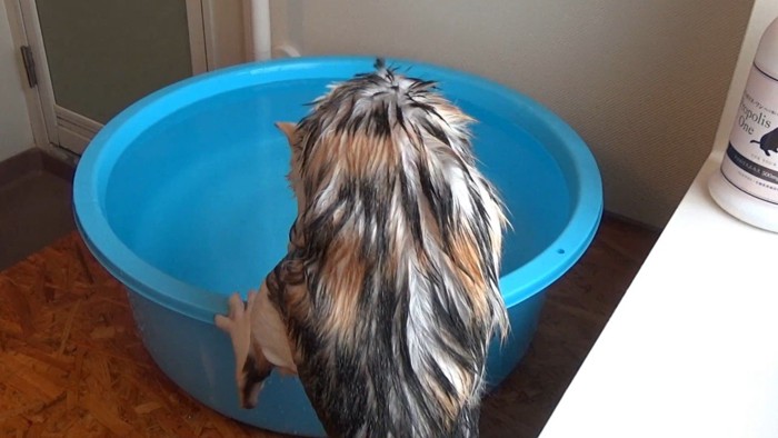 後ろ姿(片足をフチに)