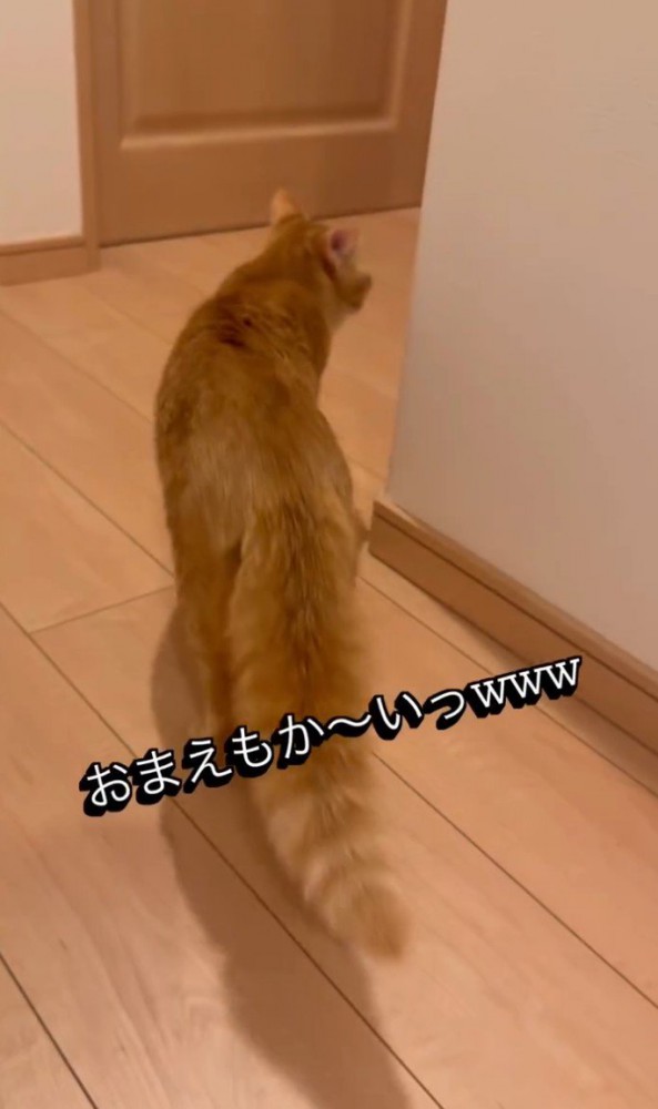 「おまえもかーい」と書かれた写真