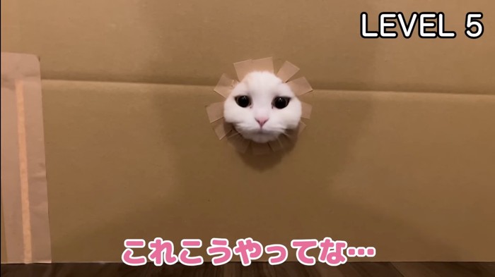 こうやってな…