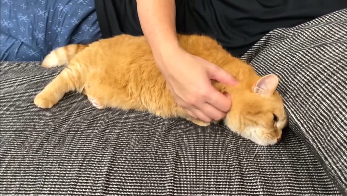寝転がって