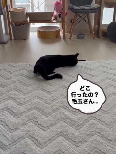 寝そべってカーペットの下を気にする猫