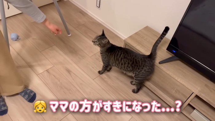 テロップ「ママの方が～」