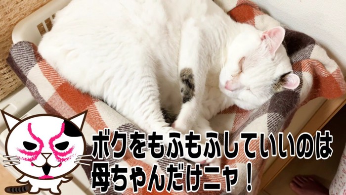父ちゃんを拒否して眠り始めたおーちゃんさん