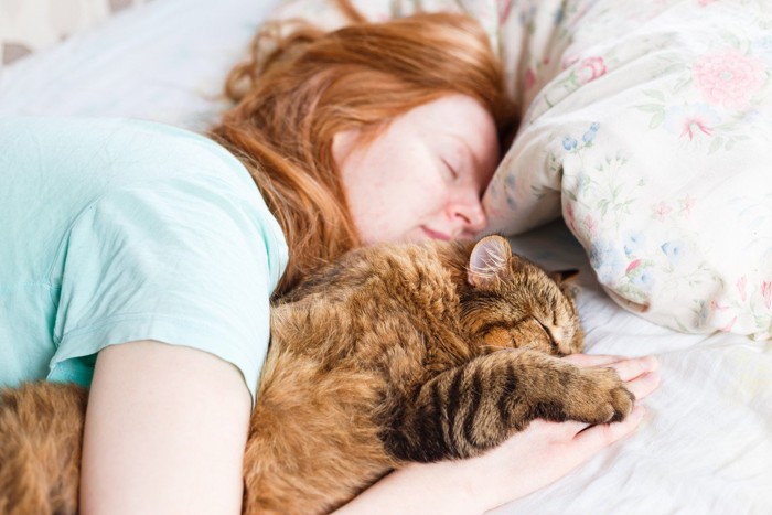 飼い主と一緒に眠る猫