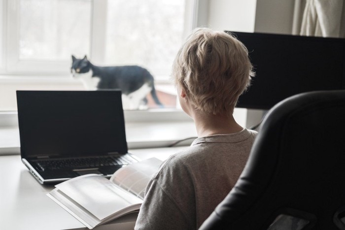 事務室の窓辺を歩く白黒猫