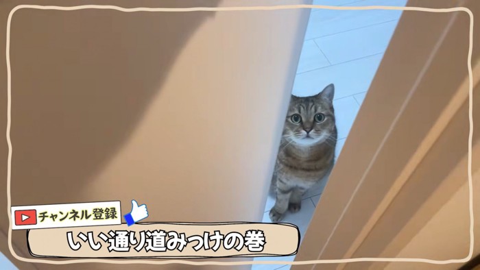 テロップ「いい通り道みっけの巻」