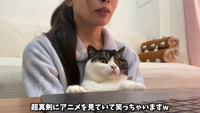 抱っこされる猫