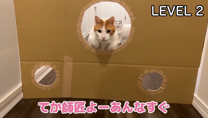 レベル2
