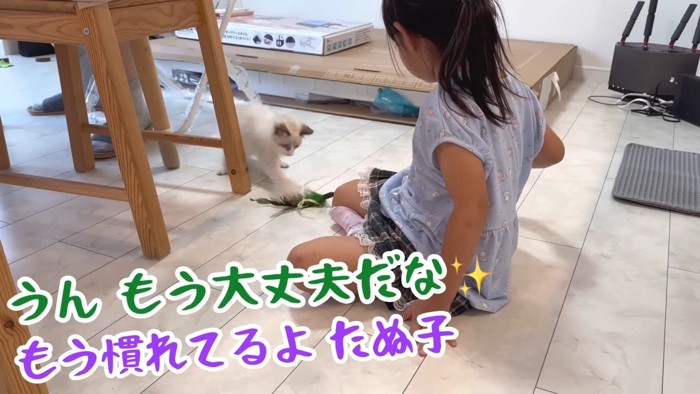 姪っ子ちゃんとたぬ子ちゃん