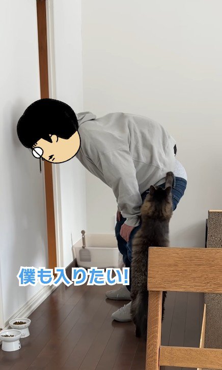 飼い主の脚をよじ登る猫