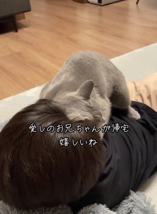 人にすり寄っている猫