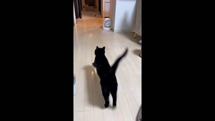 走り出す後ろ姿