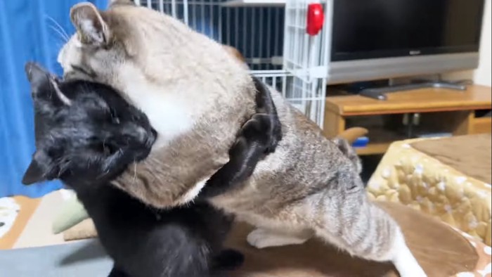 体当たり