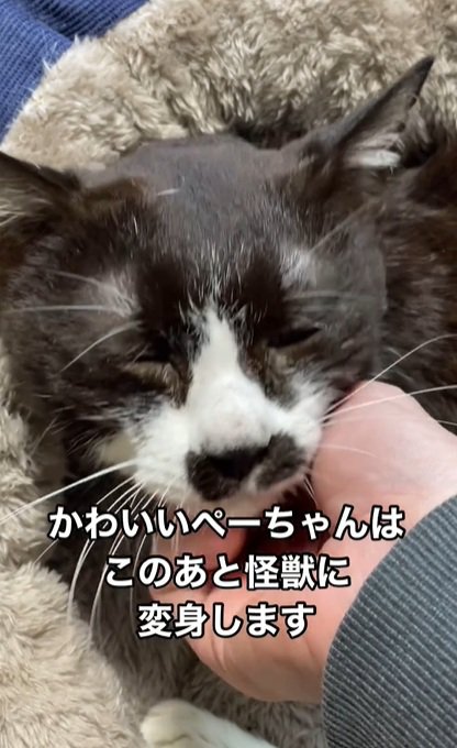 嬉しそう