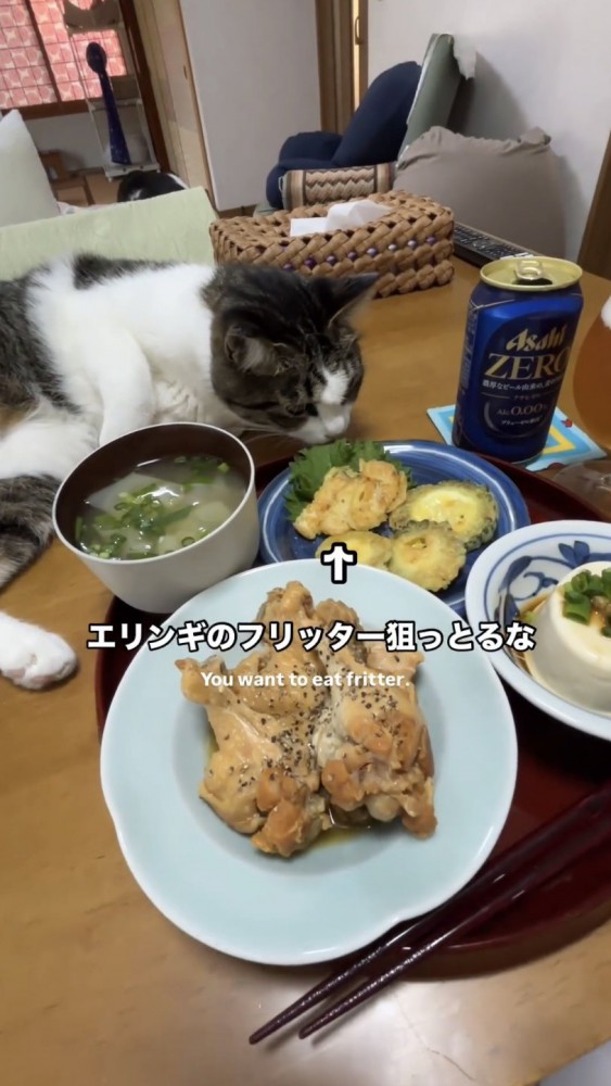 食卓で寝転がる猫