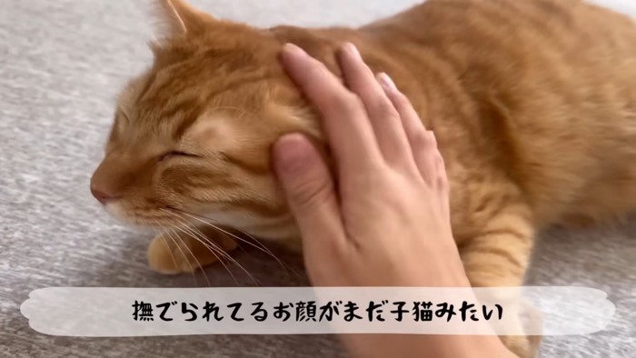 テロップ「撫でられてる～」