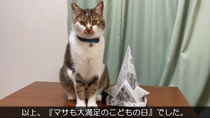 紙兜と並んでいる猫