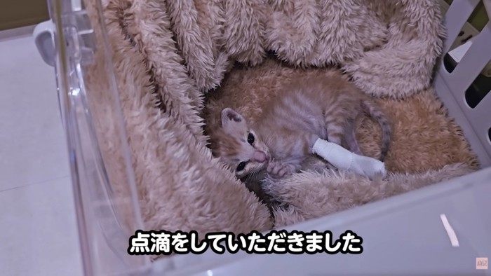 テロップ「点滴をしていただきました」