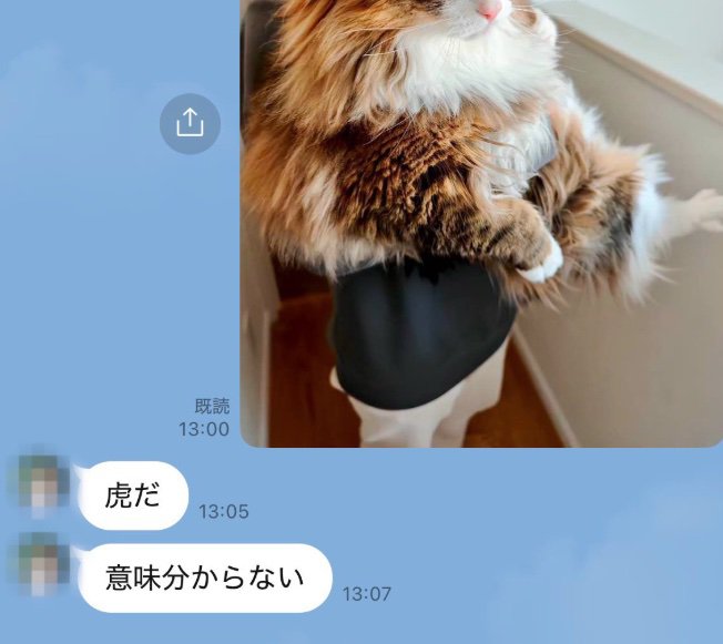 LINEのスクショ画面