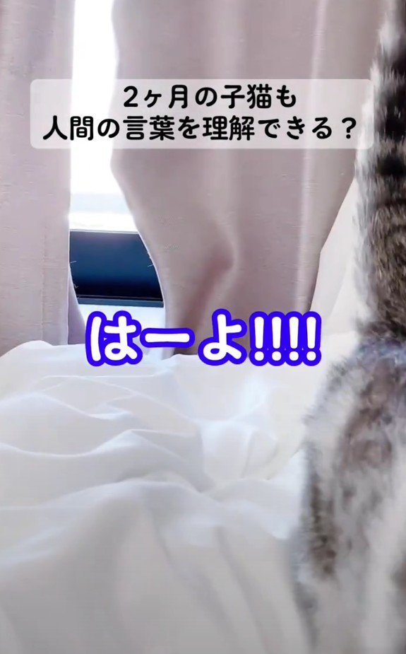 こちらへ向かってくるレビンちゃん%急かしてる?