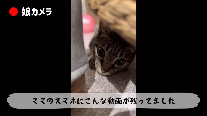 テロップ「ママのスマホに~」