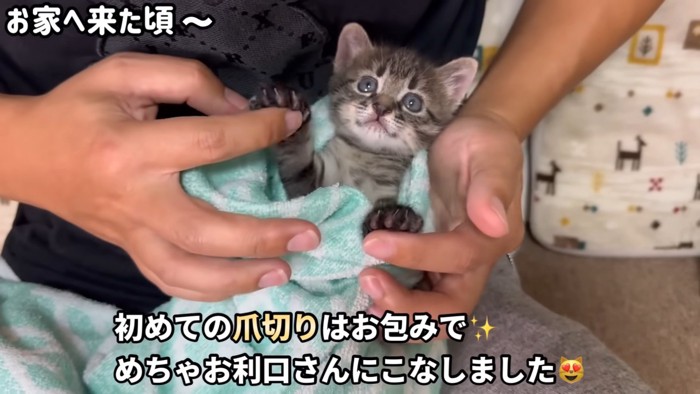 テロップ「初めての爪切りは~」