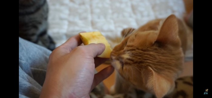 食べる