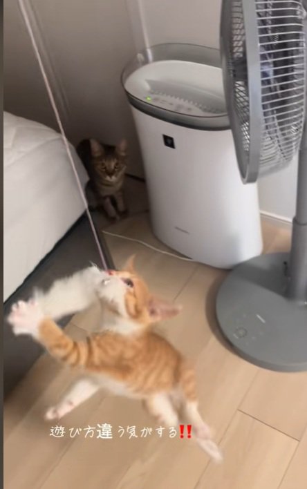 いえもんくん