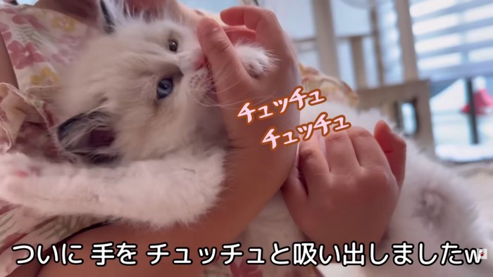 テロップ「ついに手を～」