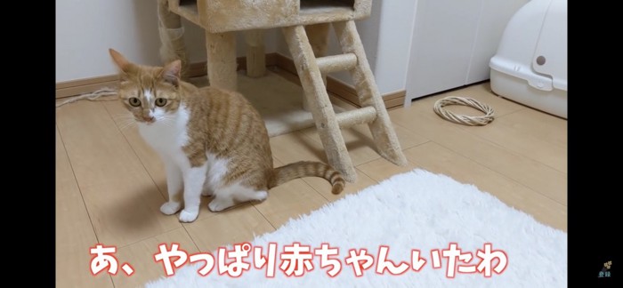 赤ちゃんいた