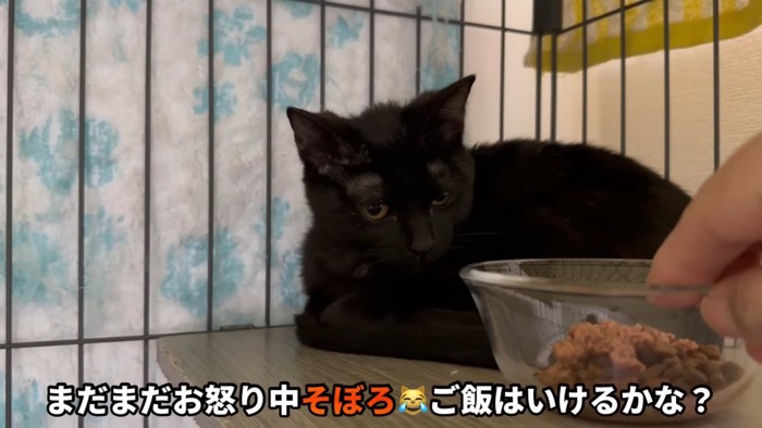 「まだまだお怒り中そぼろ」