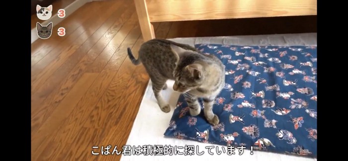 探す