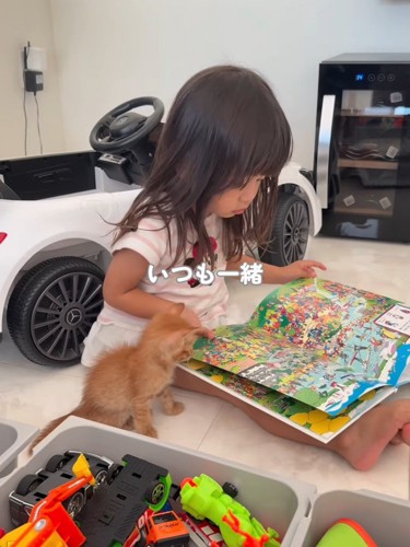 子どもと絵本を見る子猫