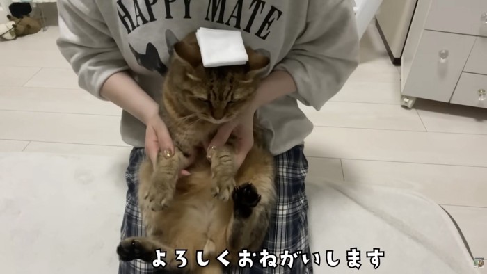 よろしくおねがいします