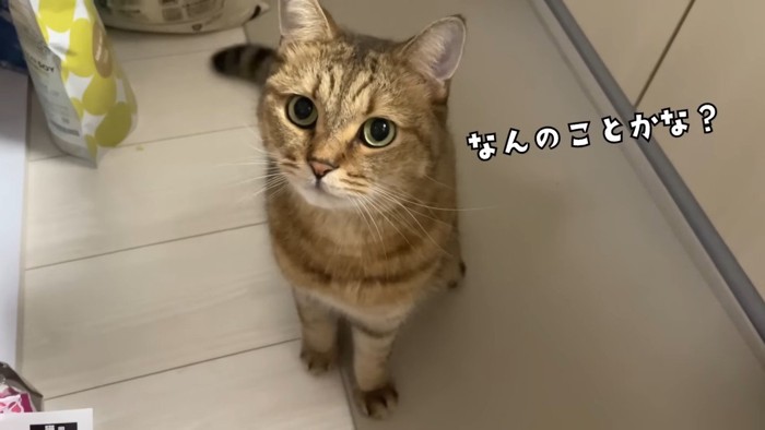 なんのことかな？