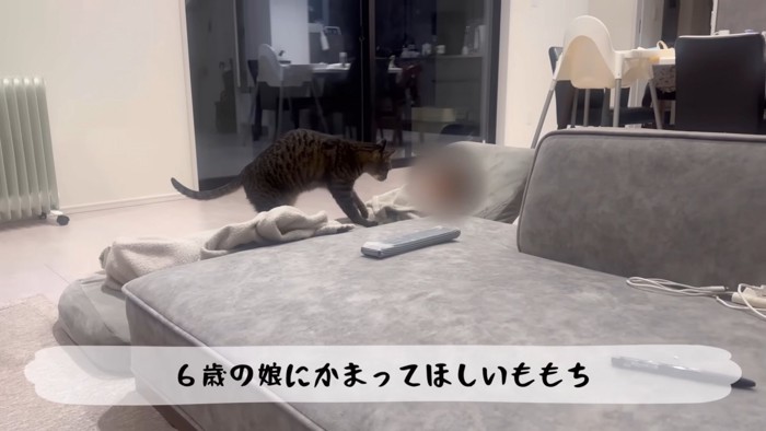 テロップ「6歳の娘に~」