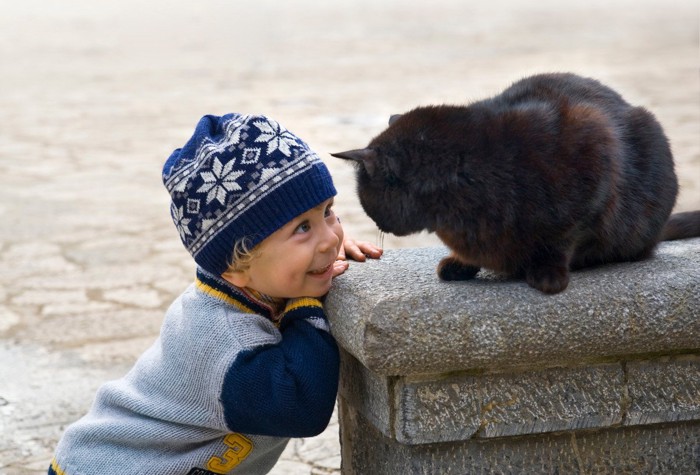 黒猫を嬉しそうにのぞき込む男の子