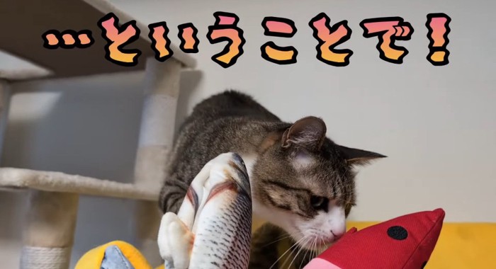 匂いを嗅ぐ猫