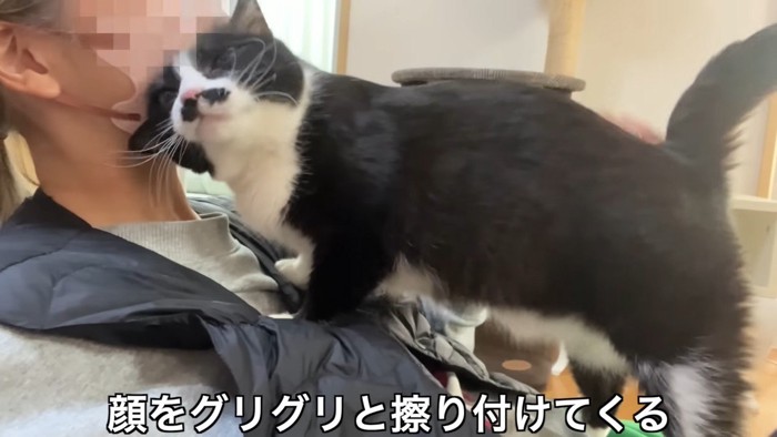 顔をグリグリと