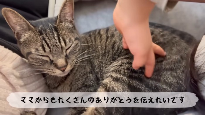 テロップ「ママからもたくさんの~」