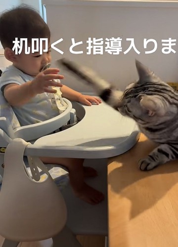 赤ちゃんと猫の写真6