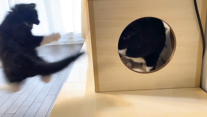 空中
