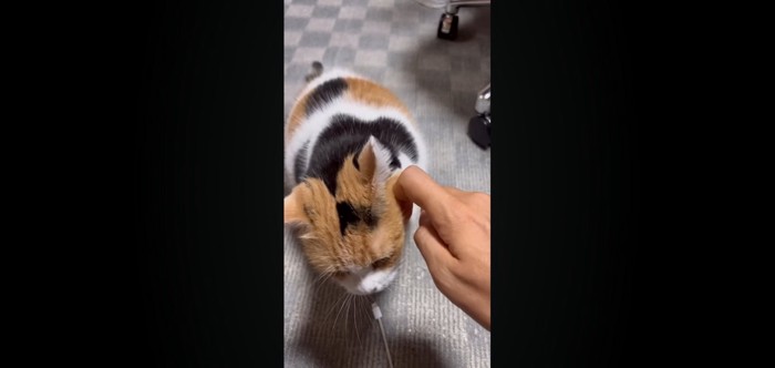 スリッ