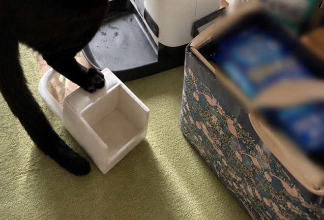猫のごはんが入っている機械