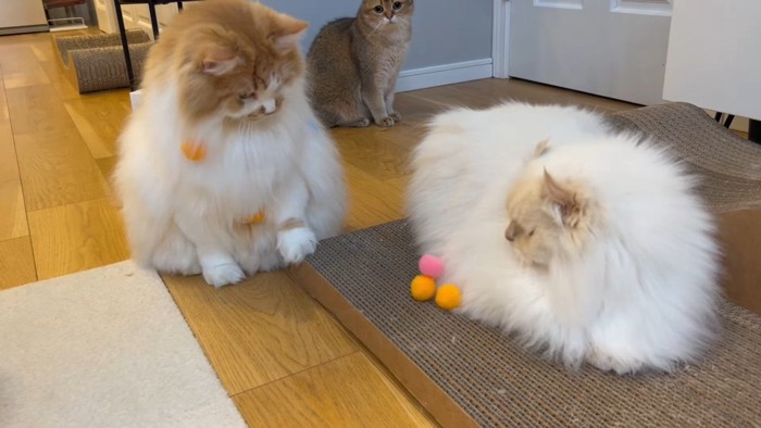 ぽてちくんとおこめちゃん