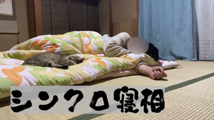 同じ寝相の人と猫